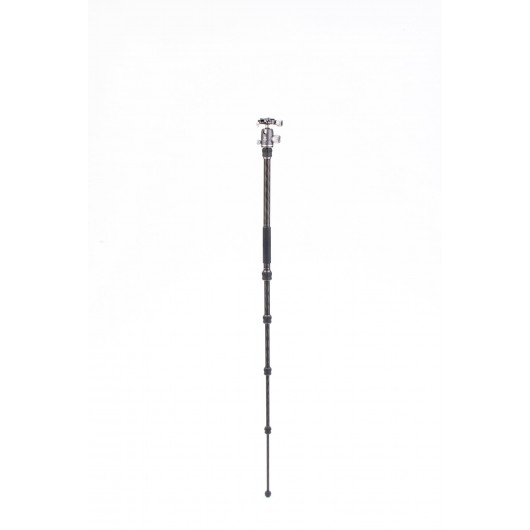 BENRO Rhino 05C + VX20 statyw karbonowy z głowicą kulową