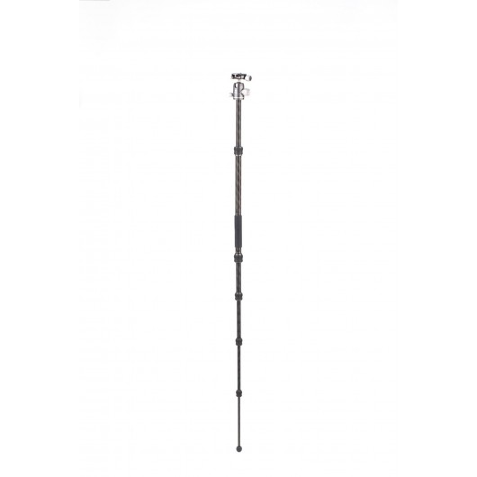 BENRO Rhino 05C + VX20 statyw karbonowy z głowicą kulową