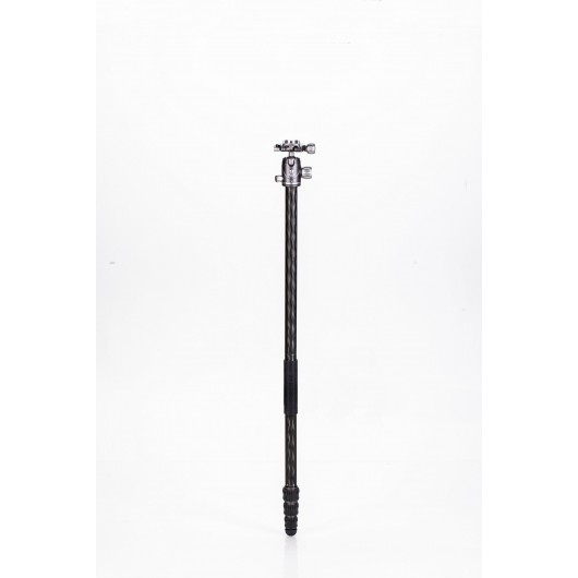 BENRO Rhino 14C + VX20 statyw karbonowy z głowicą kulową