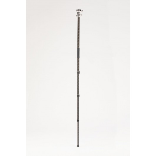 BENRO Rhino 14C + VX20 statyw karbonowy z głowicą kulową