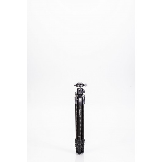 BENRO Tortoise 14C + GX25 statyw karbonowy z głowicą kulawą