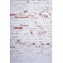 Lastolite Tło Urban 1.5x2.1m Red/Distressed White Brick