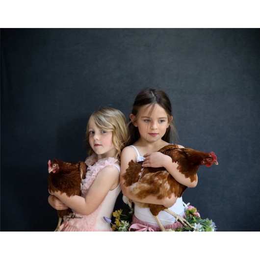 Lastolite Tło Vintage 1.5x2.1m Walnut/Pewter