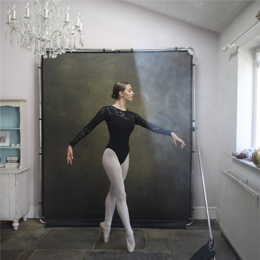 Lastolite Tło + Rama EzyFrame Vintage 2 x 2.3m Olive