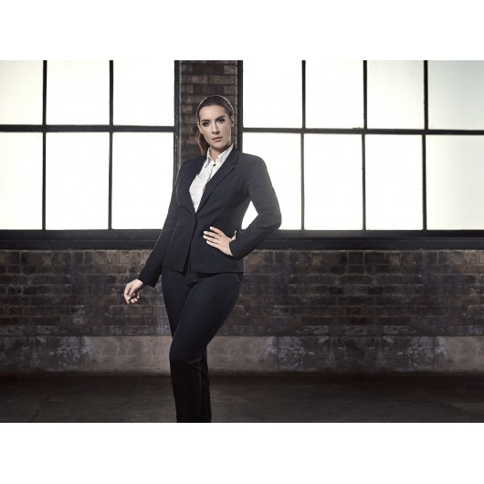 Lastolite Softbox 2w1 Ezybox Pro Switch XL-44x117cm/90x117cm