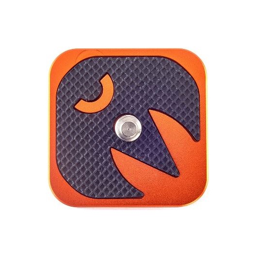 3LT Płytka QR4-EQ (płytka typu ARCA 38x38 mm)