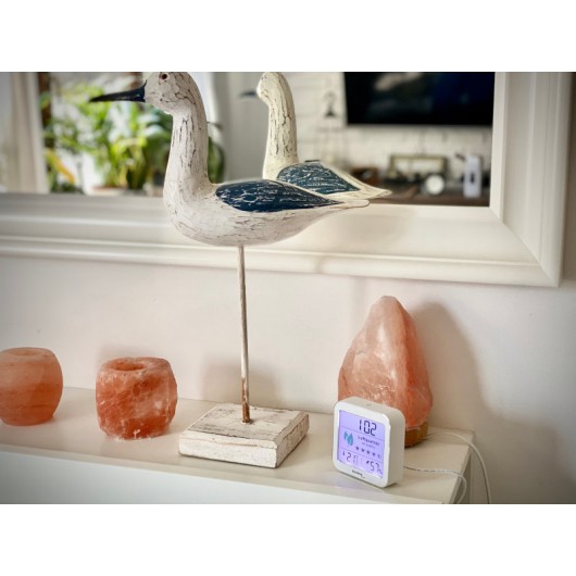 Technoline Stacja pogody Miernik jakości powietrza WL1020