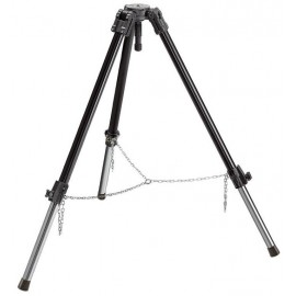 Manfrotto Statyw HEAVY DUTY gniazdo półkula 100mm